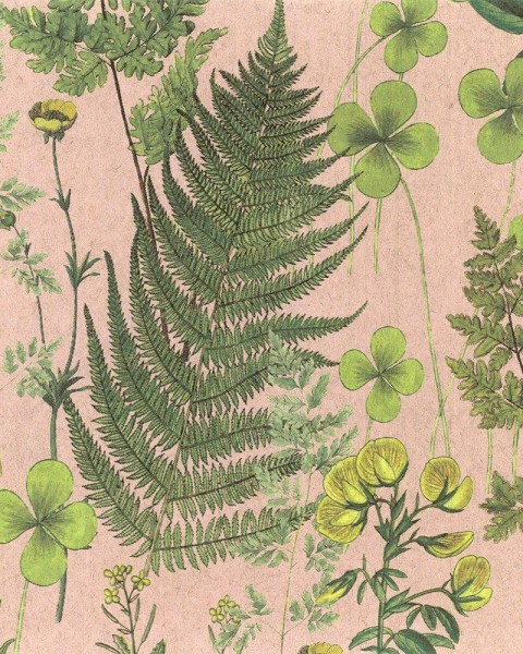 FLAX WALLPAPER | Botanical | FWP-BTN-06